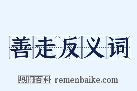 善走反义词是什么意思的图片